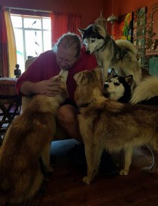Husky Rescue