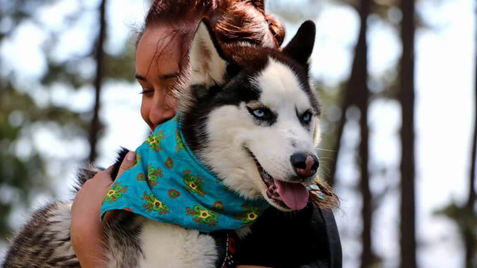 Adopt Husky Rescue South Africa