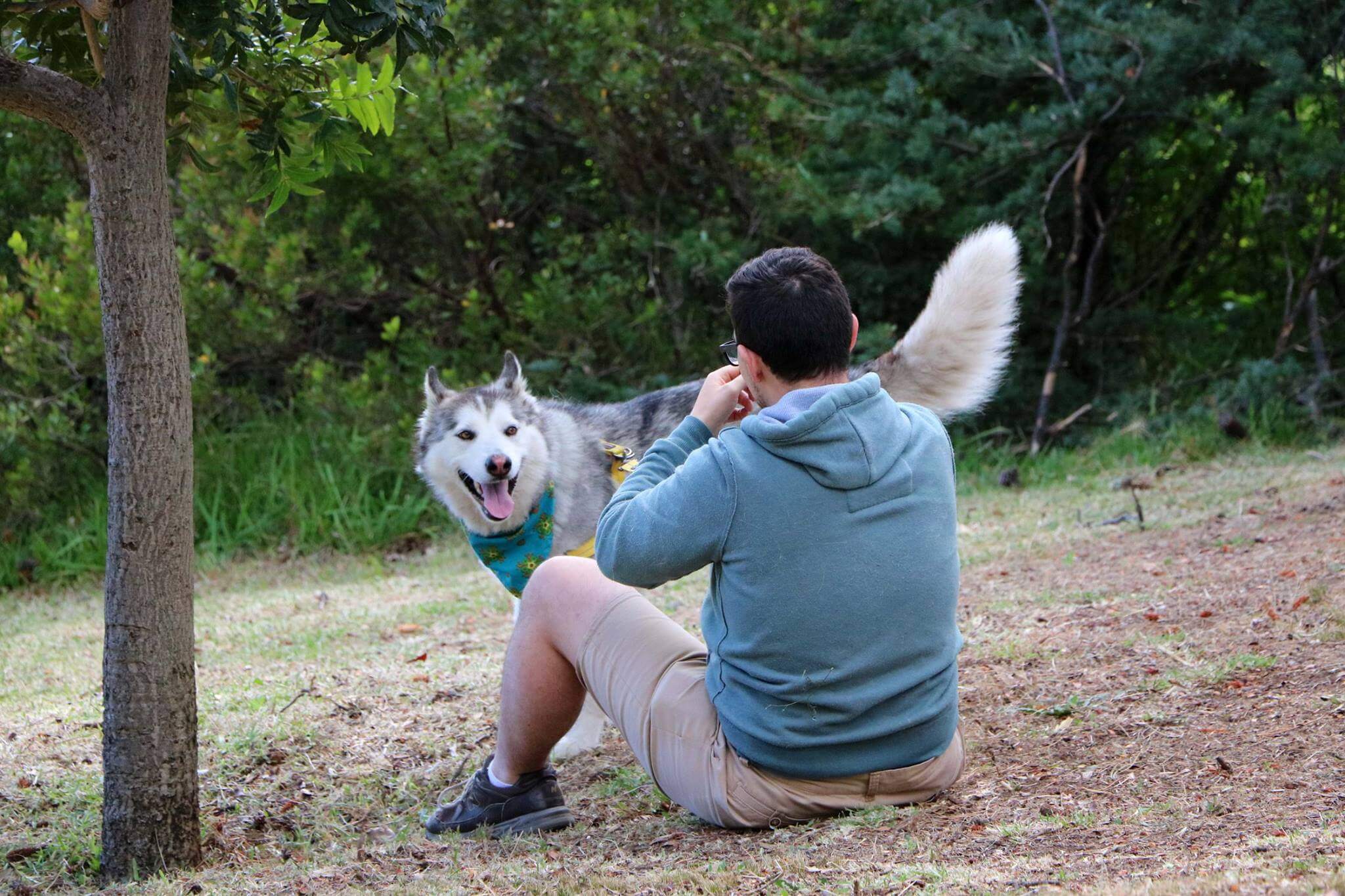 Husky Rescue