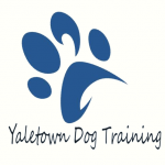 Yaletown Dog Training