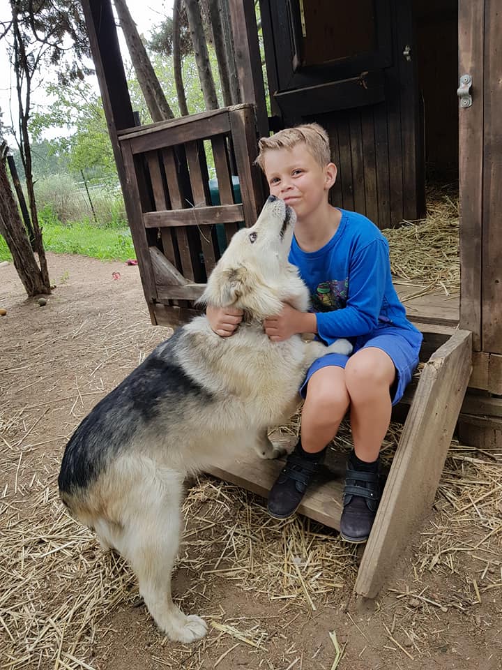 Adopt Husky Rescue South Africa