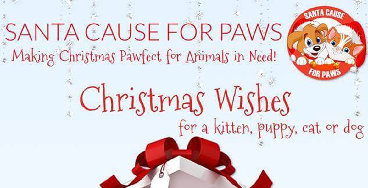 Santa Cause for Paws